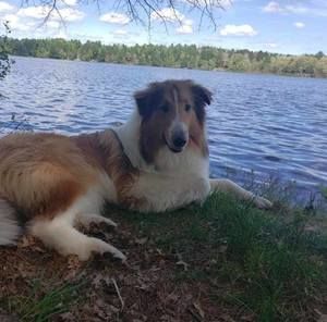 Meet your Posher, Kathy